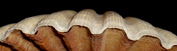 Va bene, parece facil; pero.................................